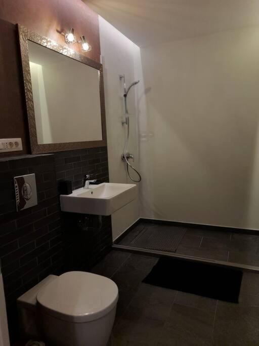 Alto Studio & Free Private Parking Брашов Экстерьер фото