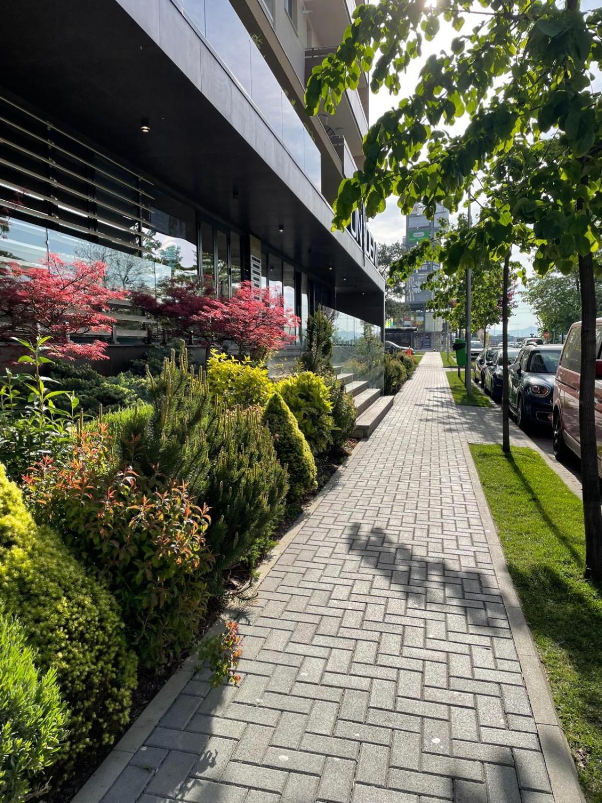 Alto Studio & Free Private Parking Брашов Экстерьер фото