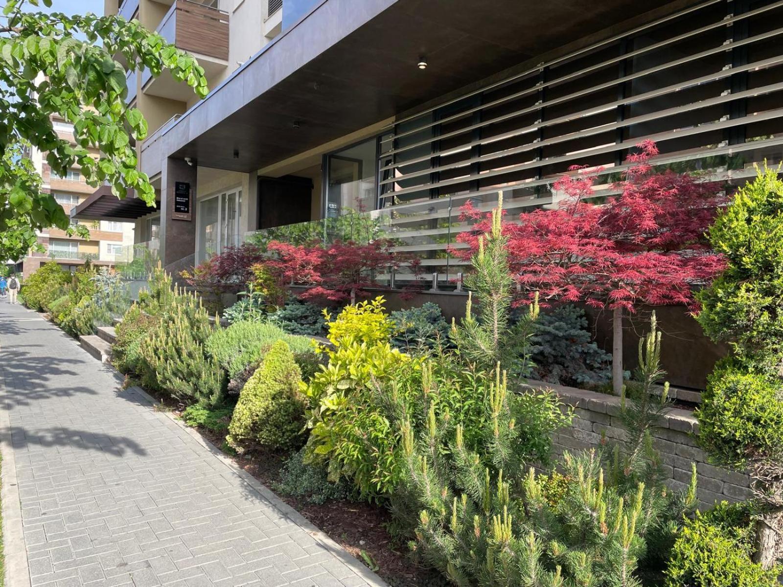 Alto Studio & Free Private Parking Брашов Экстерьер фото